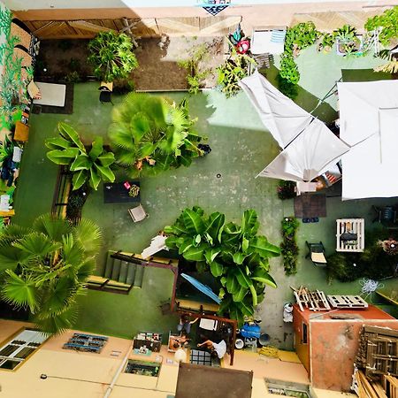 Jungle House Pansiyon Las Palmas de Gran Canaria Dış mekan fotoğraf