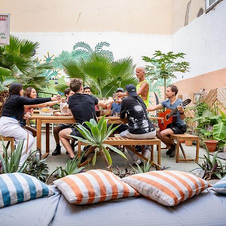 Jungle House Pansiyon Las Palmas de Gran Canaria Dış mekan fotoğraf