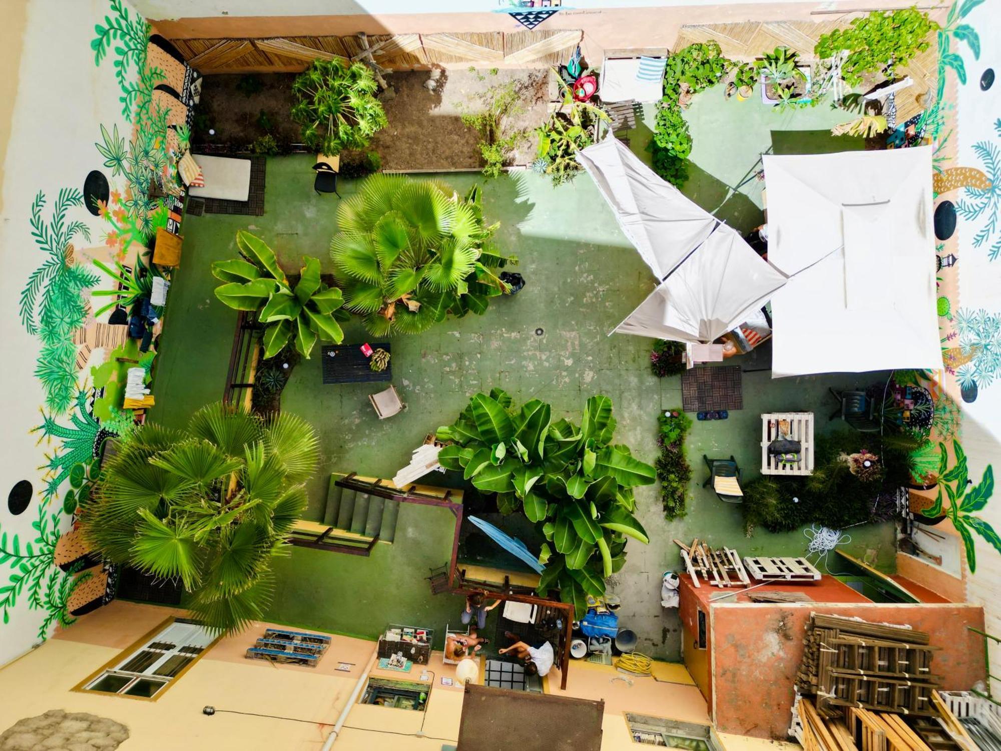 Jungle House Pansiyon Las Palmas de Gran Canaria Dış mekan fotoğraf